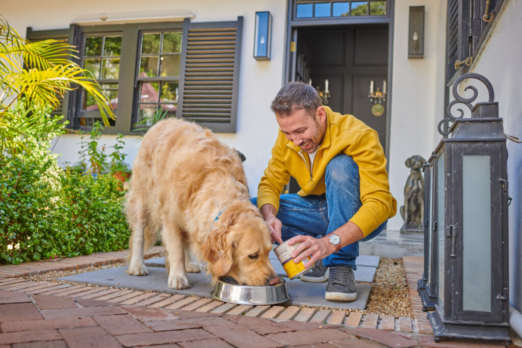 Steel for Packaging Update N° 37